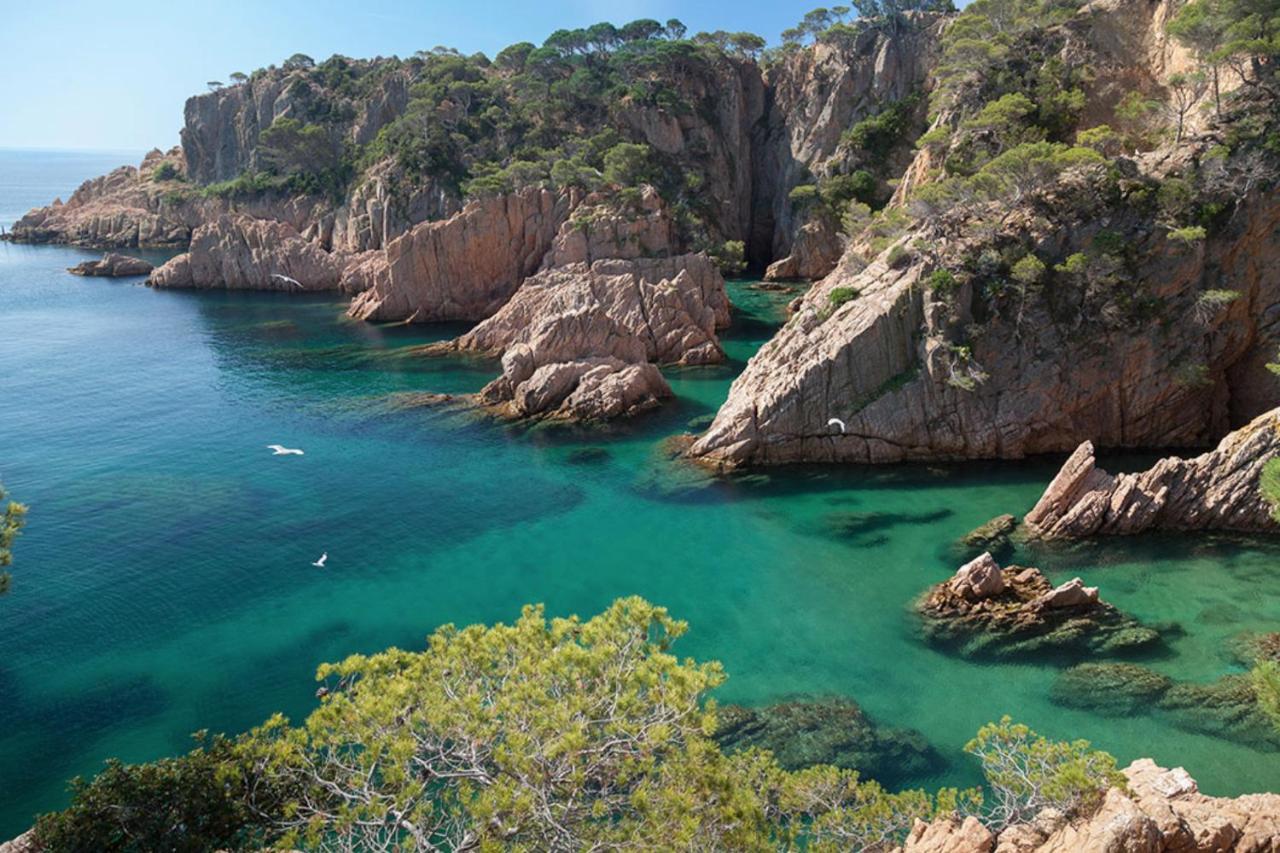 Nuevo Luminoso Apartamento Catalina a 80 metros de la playa para 4 personas Sant Feliu de Guíxols Exterior foto