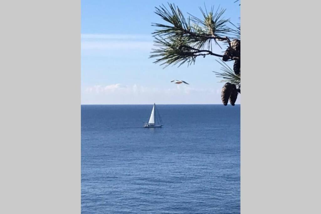 Nuevo Luminoso Apartamento Catalina a 80 metros de la playa para 4 personas Sant Feliu de Guíxols Exterior foto