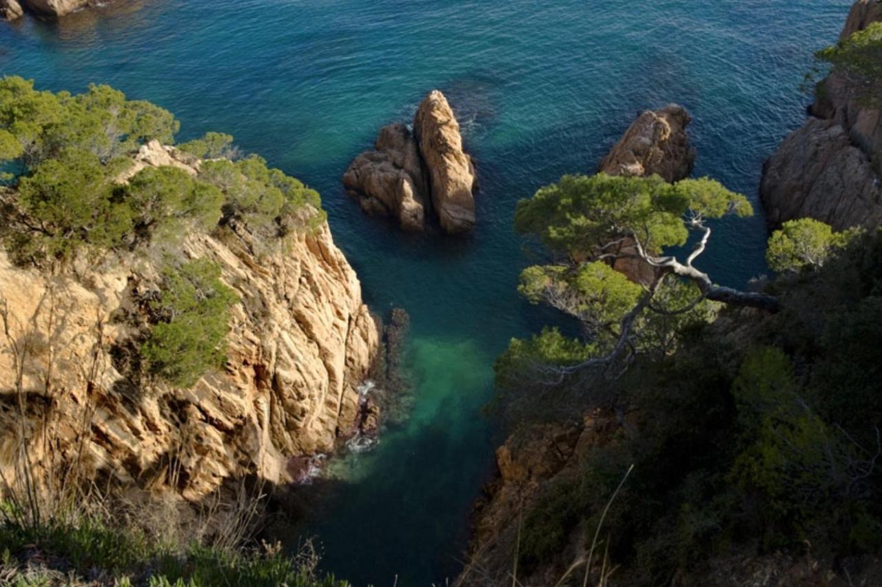 Apartamento Nuevo Luminoso Apartamento Catalina a 80 metros de la playa para 4 personas Sant Feliu de Guíxols Exterior foto